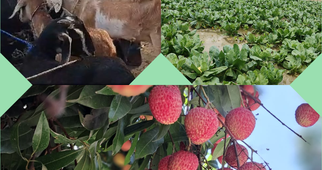 कृषि में आर्थिक स्थिरता समय की मांग