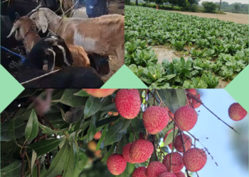 कृषि में आर्थिक स्थिरता समय की मांग