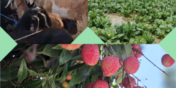 कृषि में आर्थिक स्थिरता समय की मांग