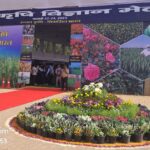 आंध्र के लाल मिर्च किसानों को बाज़ार हस्तक्षेप योजना से मिलेगी मदद