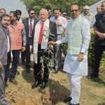 आम के बाग, जलवायु परिवर्तन रोकने में मददगार