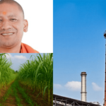 किसानों के लिए औषधीय फसलों पर विशेष मंडियां
