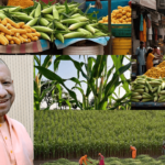 किसानों के लिए औषधीय फसलों पर विशेष मंडियां