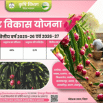 एन्थ्रेक्नोज़ से कैसे बचाएं अमरूद के बाग़?