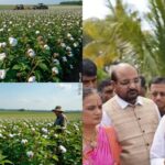 नकली उर्वरकों पर सख्ती: केंद्रीय कृषि मंत्री ने राज्यों को दिए निर्देश