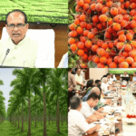 खतरनाक खरपतवार पार्थेनियम: कृषि और स्वास्थ्य दोनों के लिए खतरा!
