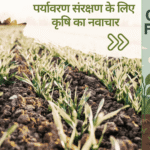 बासमती अनुसंधान पर भारत-यूरोप की बैठक