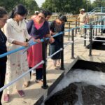 20 साल के अध्ययन ने दिखाया मूंगफली पैदावार में बड़ी छलांग!