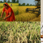 मध्यप्रदेश का अन्नदाता अब बन रहा है ऊर्जादाता – किसानों को 90% सब्सिडी पर सोलर पंप देने की घोषणा