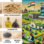 पराली जलाने पर सख्त नजर, किसानों में बढ़ेगी जागरूकता: शिवराज सिंह
