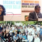 सौर ऊर्जा से सशक्त होगा यूपी गन्ना विभाग!