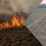 वैश्विक कृषि नवाचारों का संगम – ICRISAT में 11 देशों के स्कॉलर्स एक मंच पर!