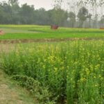 भारत–ओमान के बीच कृषि सहयोग