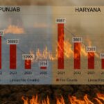 झोपड़ी बनाओ, मशरूम उगाओ — सरकार देगी आधा खर्च!