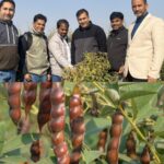 इफको की विज्ञान आधारित खेती से किसानों को नई ताकत!