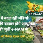 नारियल किसानों की आय बढ़ाने के लिए सरकार की नई पहल!