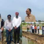 ओलावृष्टि के बाद आम किसानों के लिए अलर्ट! अपनाएं 30 दिन का प्लान !!