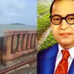 लीची बागानों के लिए अलर्ट, अभी करें सही देखभाल!